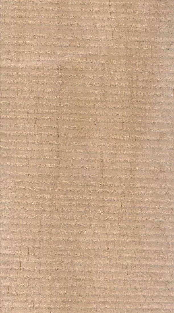 桦木的芯材颜色是淡红棕色，边材颜色近白色，板面宽且带影的木皮市场价格良好，纹理通常是直纹和波浪纹，质地均匀，板面有很好的自然光泽度。.webp.jpg